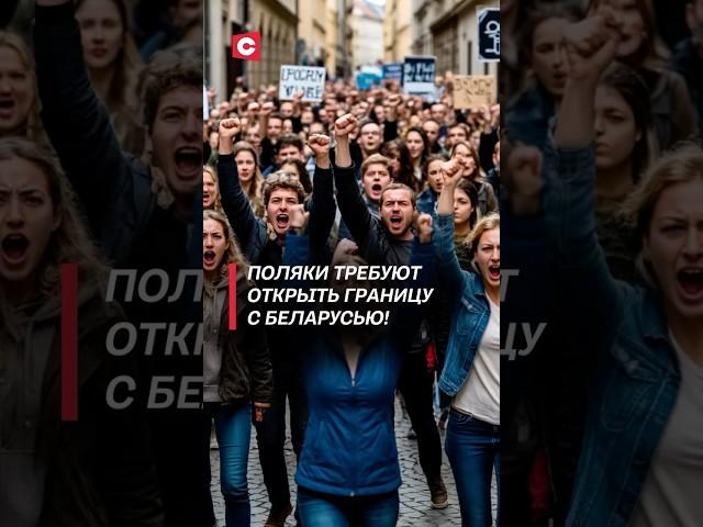 Поляки подали в суд на правительство! Бизнес требует открыть границу с Беларусью! #польша #кризис