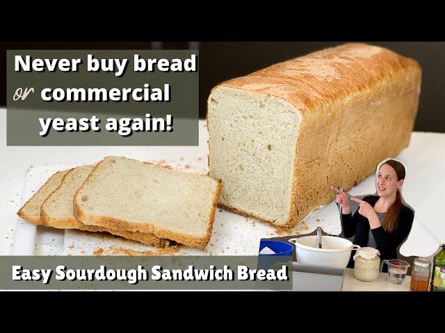 Easy Sourdough Sandwich Bread Recipe - Never buy bread again! ~ Large Homesteading Family