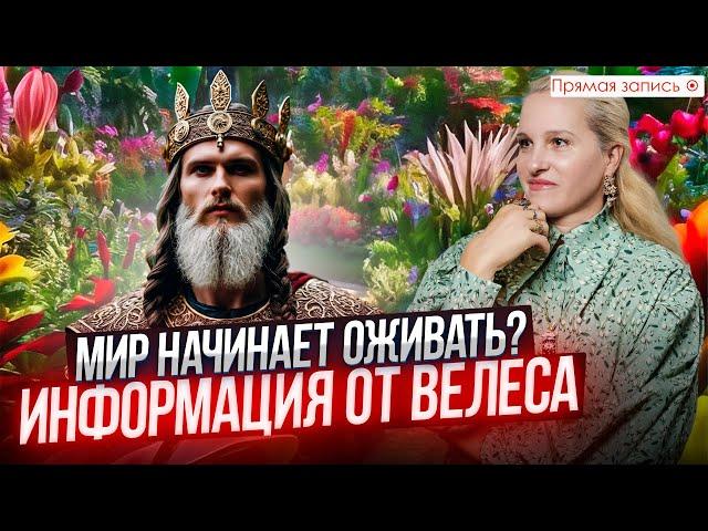 ЗЕМЛЯ ОЖИВАЕТ | Какие ТАЙНЫ о мироздании рассказал Бог Велес || Просмотр со слипером