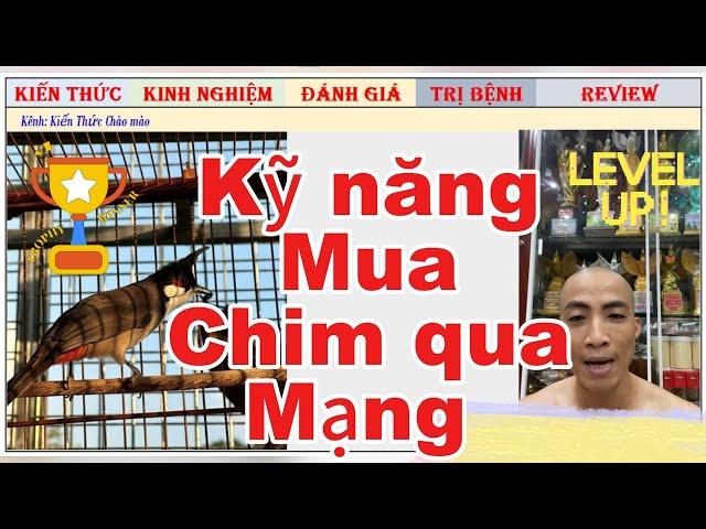 Kỹ năng để mua chim Chào mào Bổi qua mạng mà không bị đạp đinh