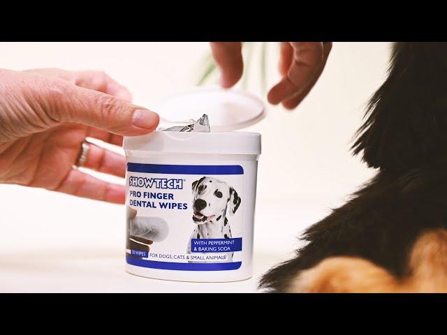 Dental Hygiene Finger Wipes: Keep Your Dog's Teeth Clean and Healthy!