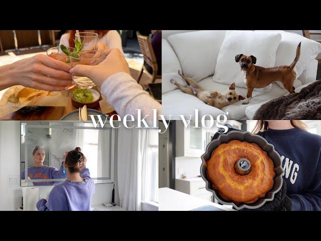 VLOG | home decor plans + cleaning motivation, farmers market, lemon cake recipe & girls day!