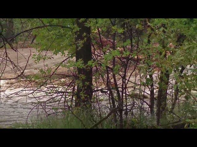 Lyons flooding - look at St Vrain, moving at 9x normal rate