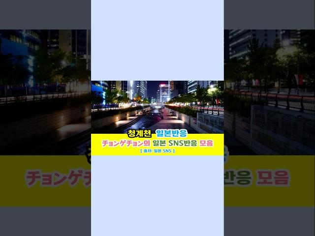 일본반응 | 청계천(チョンゲチョン)의 일본 SNS반응 모음#일본반응#해외반응#중국반응#외국인반응