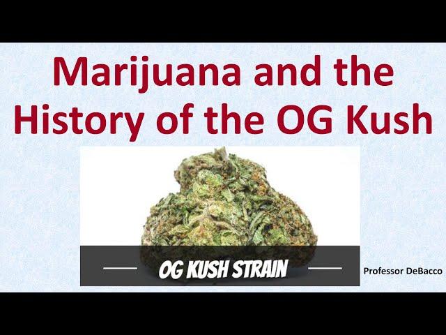 Marijuana and the History of the OG Kush