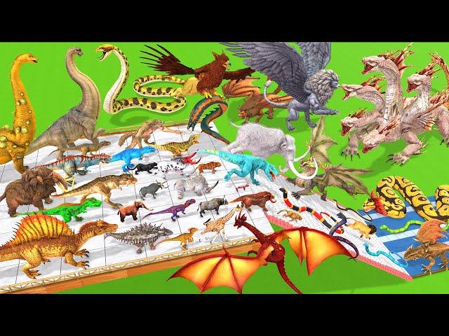 Which Animal is the Strongest - Reptiles vs Dinosaurs vs Wild Animals ? Animal Revolt Battle Simulat