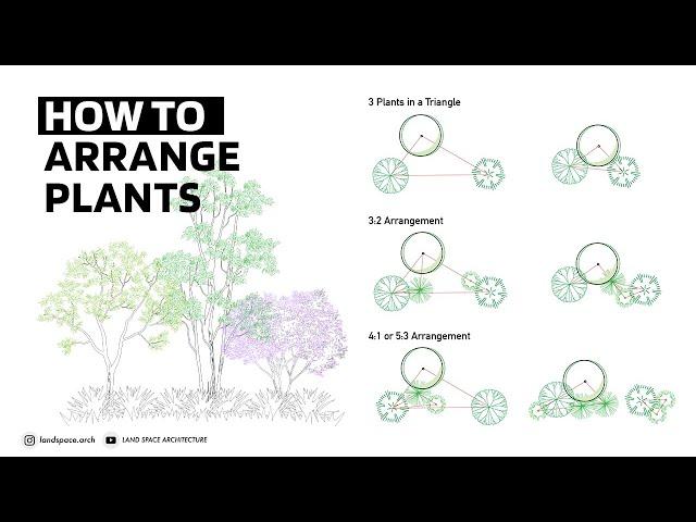 How to Arrange Plants for Landscape Design