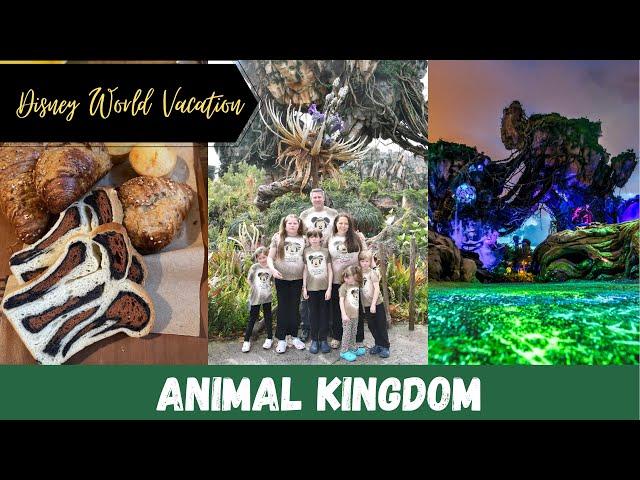 Animal Kingdom | Disney World Vacation | Tusker House | Avatar | Kilimanjaro Safari | Dinosaur Rides