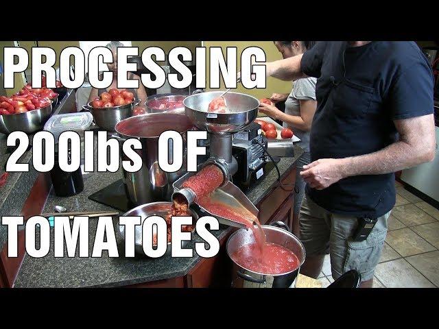 Fabio Leonardi tomato milling machine processing 200lbs of tomatoes