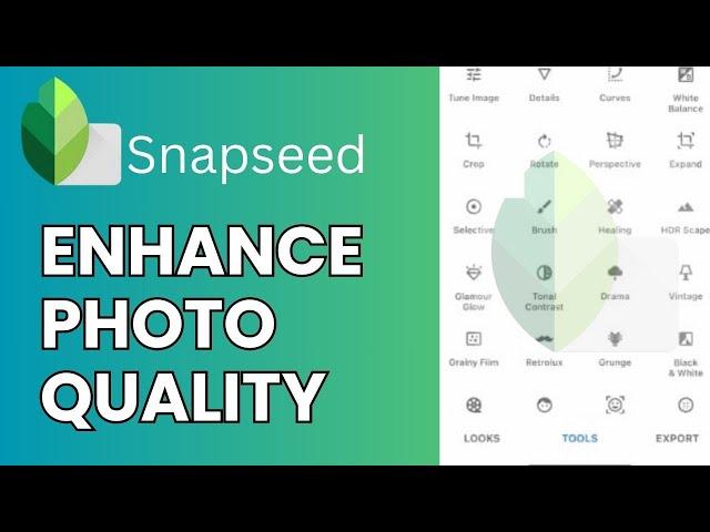 How to Enhance Photo Quality in Snapseed 2024?