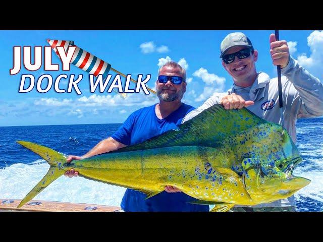 July DOCK WALK Fishing Report, Islamorada!