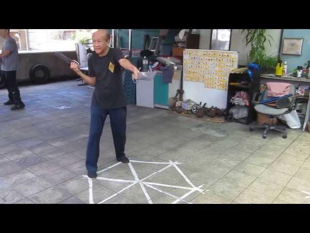 Sifu Lo Man Kam explain Butterfly knive movements in Taipeh 07/2013 / Bad Cham Dao