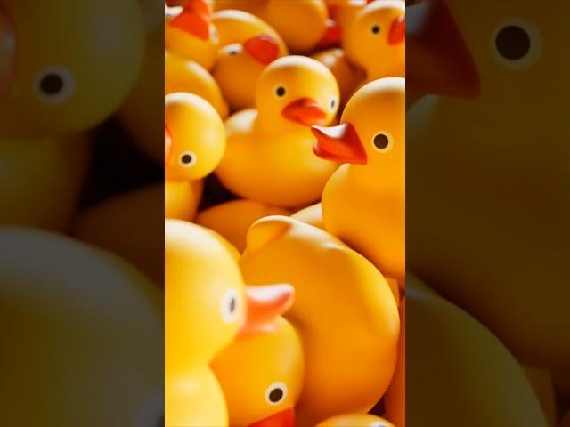 Here's What It Means If You See a Rubber Ducky on a Cruise Ship