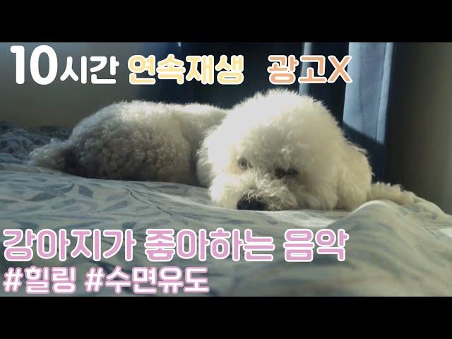 dog music to go to sleep/강아지수면음악