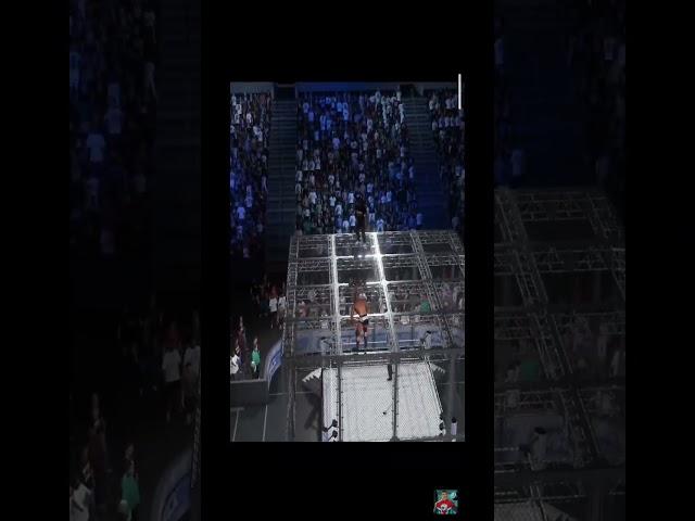 Randy Orton goes down through Hell in a Cell