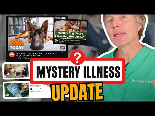 Mystery Dog Respiratory Illness: 2024 Update