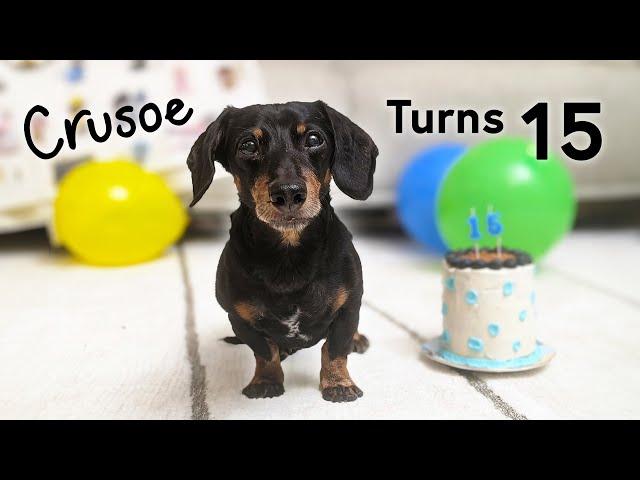 Crusoe's 15th Birthday Party!