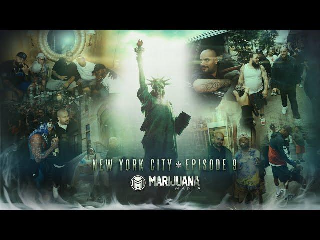 Marijuana Mania Episode 9 - New York City