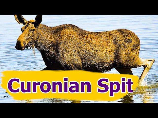 Curonian Spit, Lithuania travel guide