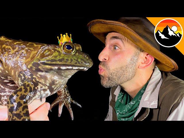 GIANT FROG KISSED! - Prince or Princess?