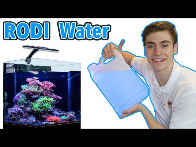 RODI Water For Your Reef Tank - Best RODI Machine for Beginners!