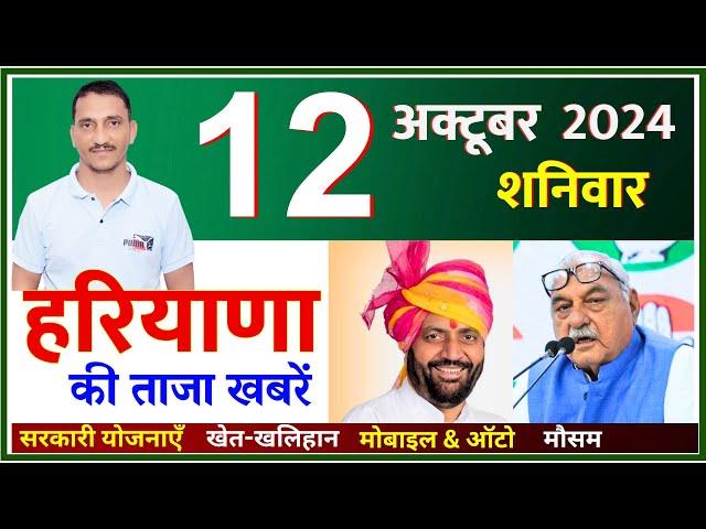 12 October 2024 Haryana News || हरियाणा की ताजा खबरें || Haryana Live News || CWB Hindi News