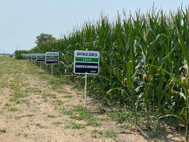 Nutrien Ag Solutions Internship