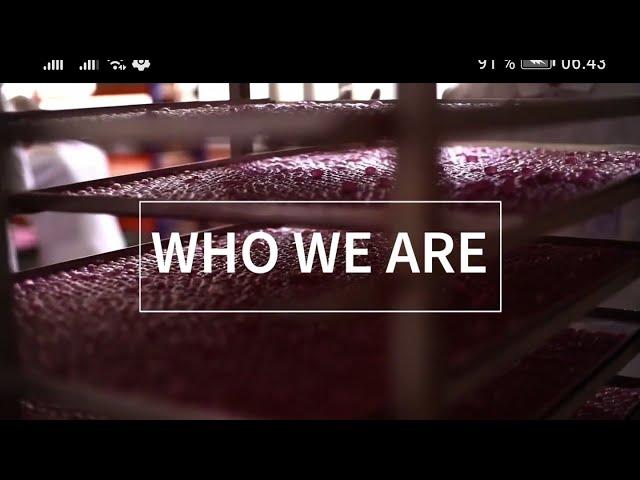 APL GO - Who We Are?