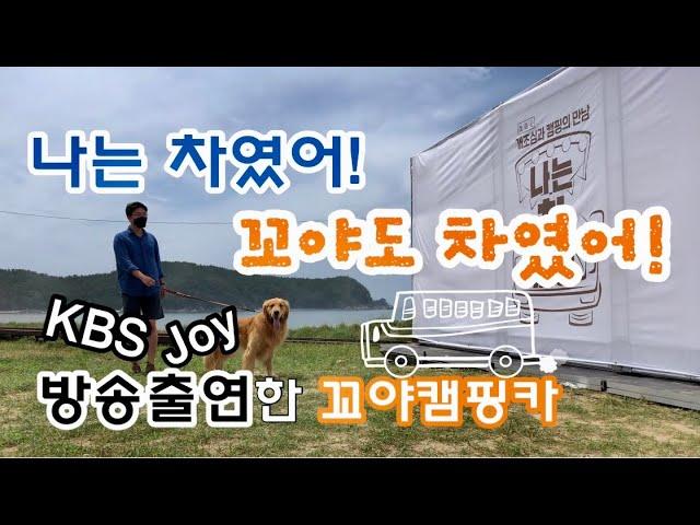 [나는차였어_꼬야캠핑카] KBS Joy 나는차였어 버스캠핑카 소개에 골든리트리버 꼬야가 주인공 되었어요! 유럽감성의 마스터캠핑카, 꼬야캠핑카만의 밴라이프가 공개됩니다~