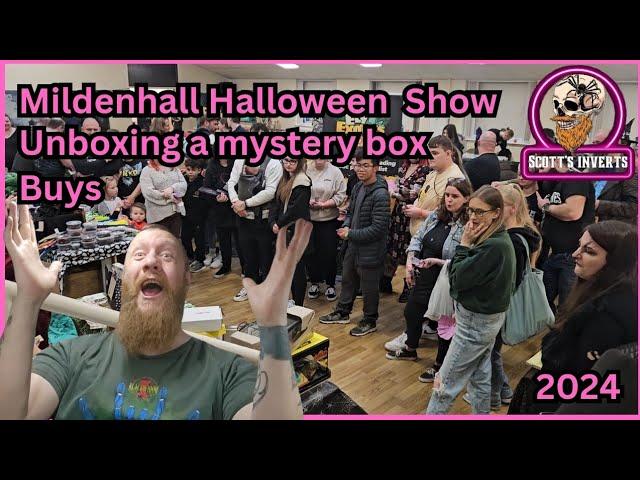 Invert Show // Mildenhall Halloween show