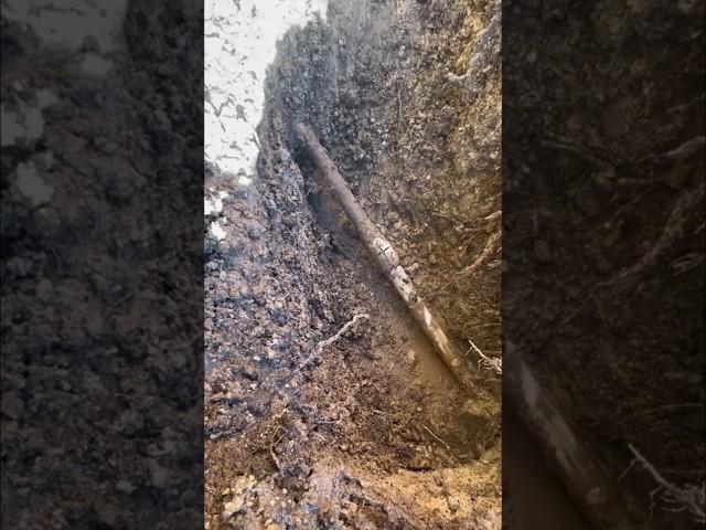 Plumber Fixes Major Water Leak! #plumbing #shorts
