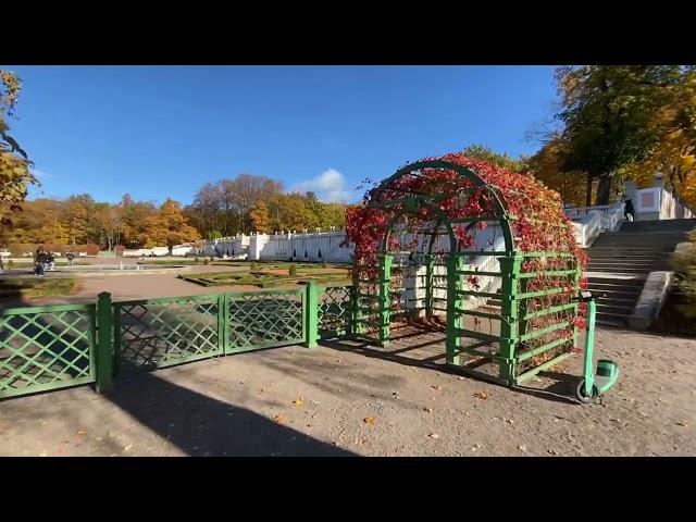  | Autumn Leaf | Kadriorg Park and Japanese Garden | Walking Tour Tallinn | Estonia