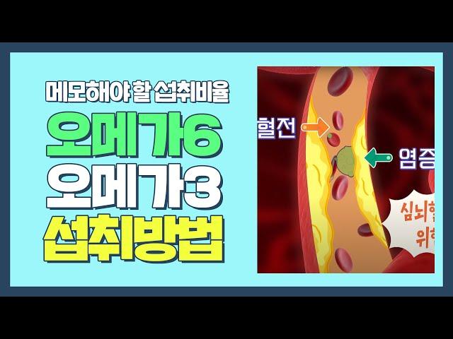 ENG｜꼭 메모해야 하는 '오메가6'와 오메가3'의 섭취 비율! 다채로운 아침(themorning) 5회