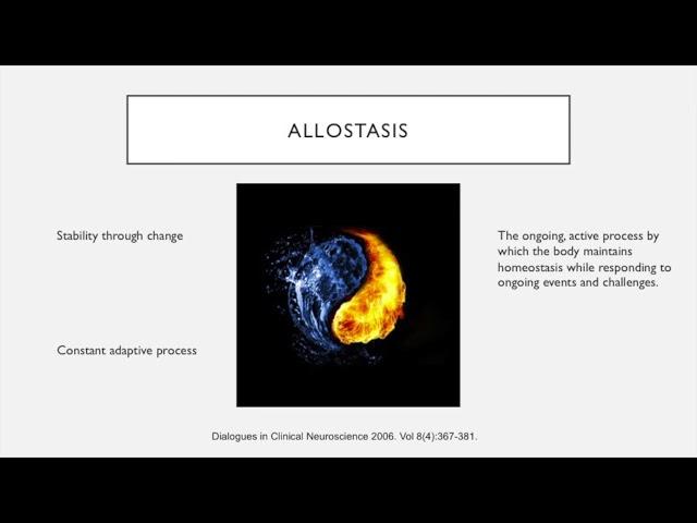 Botanicals for regulating inflammation