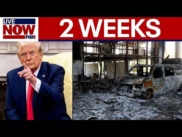 Trump will decide on Iran strikes "within 2 weeks," White House says