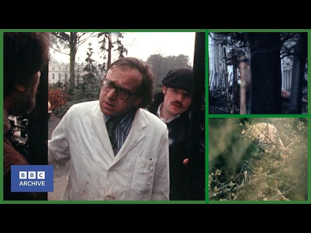 1 April 1980: What is this SECRETIVE BIOTECH Company DOING?  | Nationwide | BBC Archive