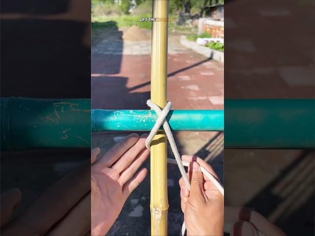 The Strong Knot That Locks Itself – Try It Now #KnotTutorial #viralvideo
