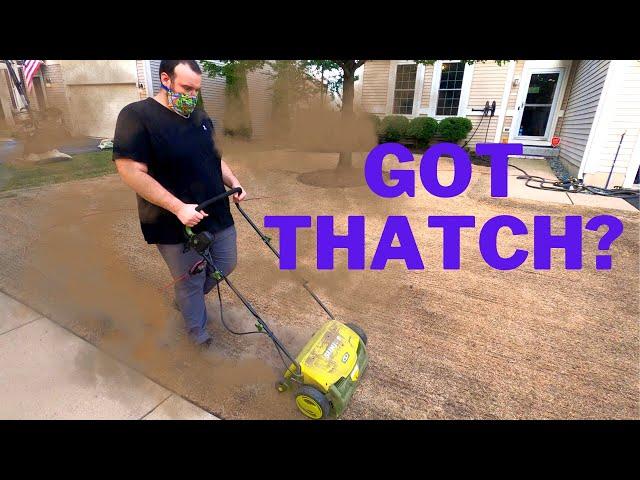 SUNJOE DETHATCHER to Remove THATCH and Dead Grass | Fall Lawn Renovation