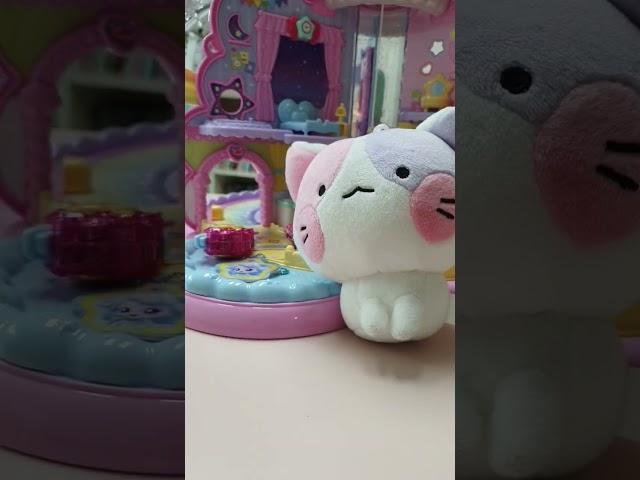 치즈의 퀴즈 정답은??