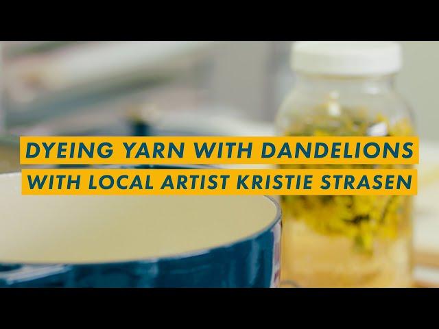 Dandelion yarn dyeing with artist Kristie Strasen