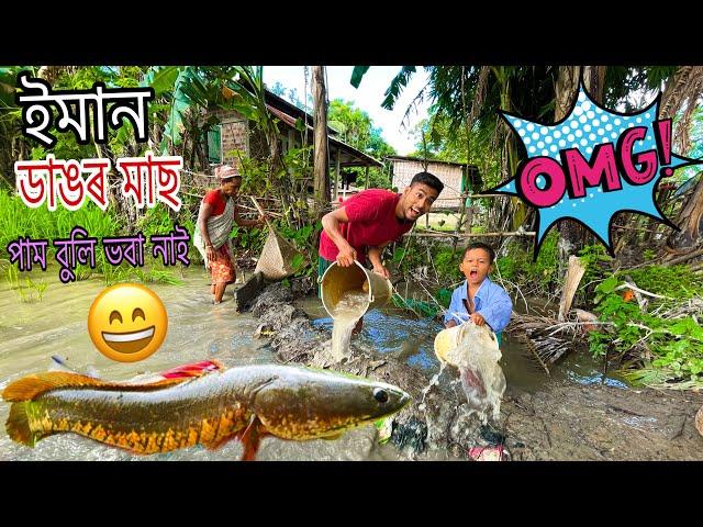 মাছ দেখা পাই গুটিৰ তামাম ফূৰ্তি  //Guti Assames vlog