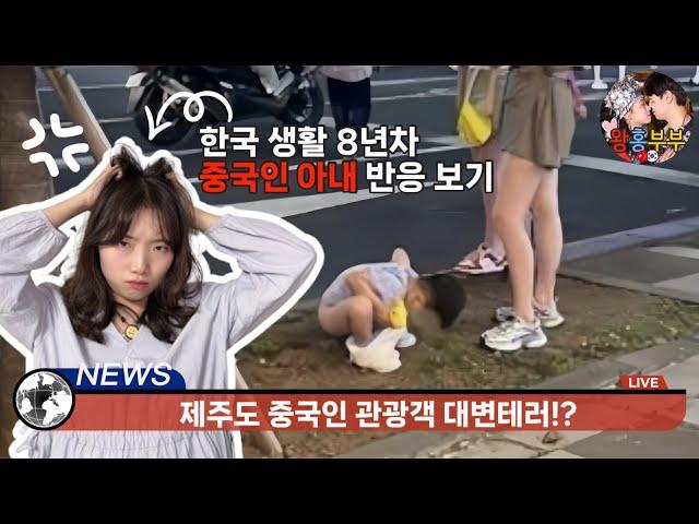 제주도 똥테러 사건, 중국 아내 반응ㅋ | 한중 오해와 진실