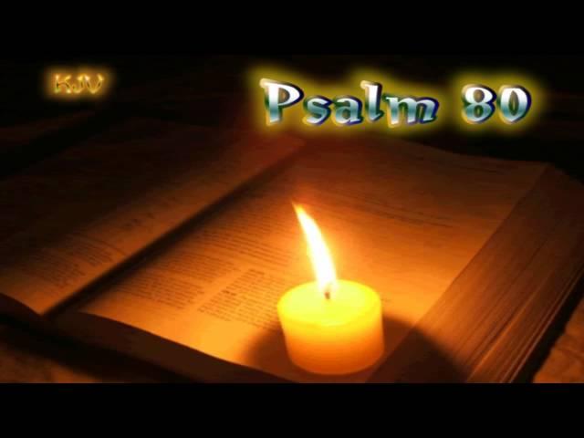 (19) Psalm 80 - Holy Bible (KJV)