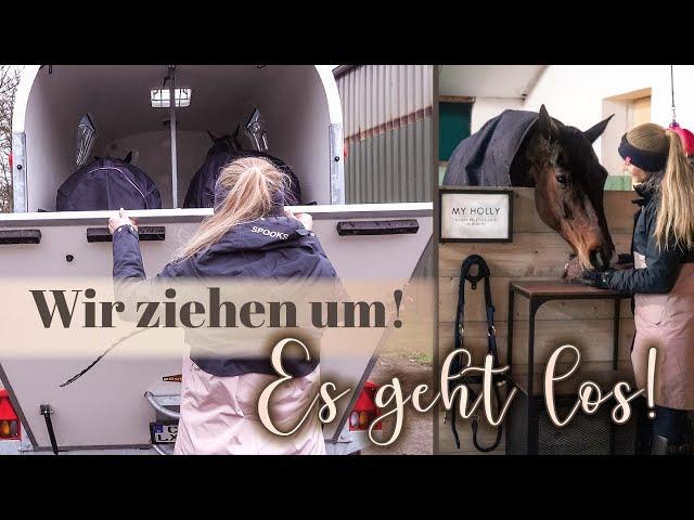 Capi & Holly ziehen um! | Vlog | 3/4 | BinieBo