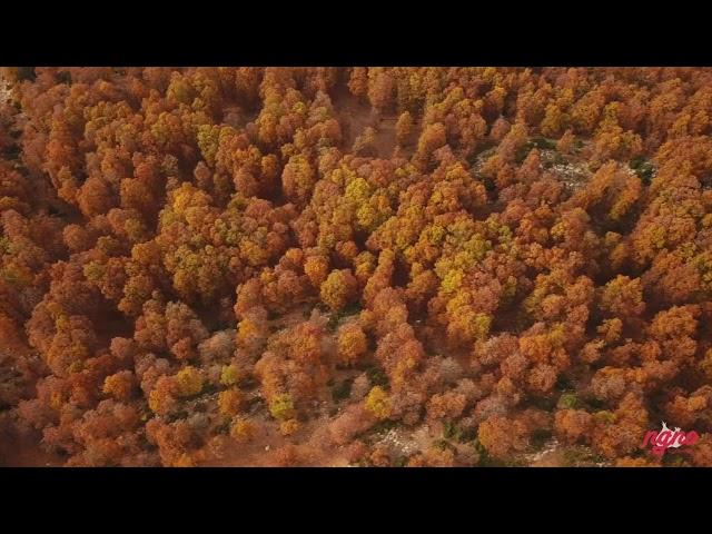 Akkar, North Lebanon as Not Seen on TV: A Natural Marvel