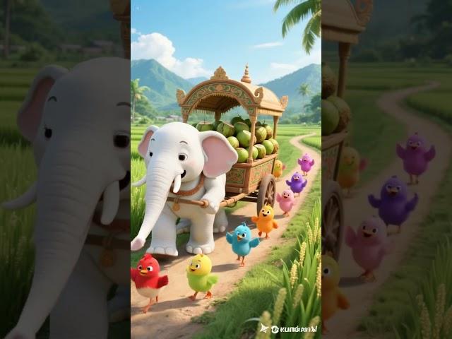 White Elephant Parade with Dancing Rainbow Chicks & Coconut Cart!  #shorts