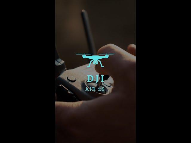 Air 2s samples. The peoples drone..