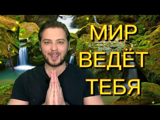 ОТКРОЙ В СЕБЕ СОСТОЯНИЕ ТВОРЦА |  ДОВЕРЯЙ МИРУ