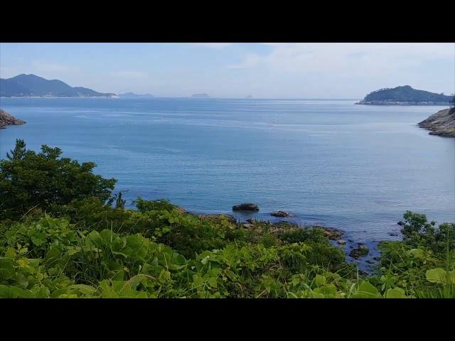 조약돌해변가해수욕장,남해바다여행81,전남완도,조약도,Korea trip South sea,Seafe Index,압바다