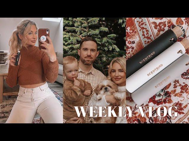 WEEK IN MY LIFE | Christmas Decor, fragrances, book obsession